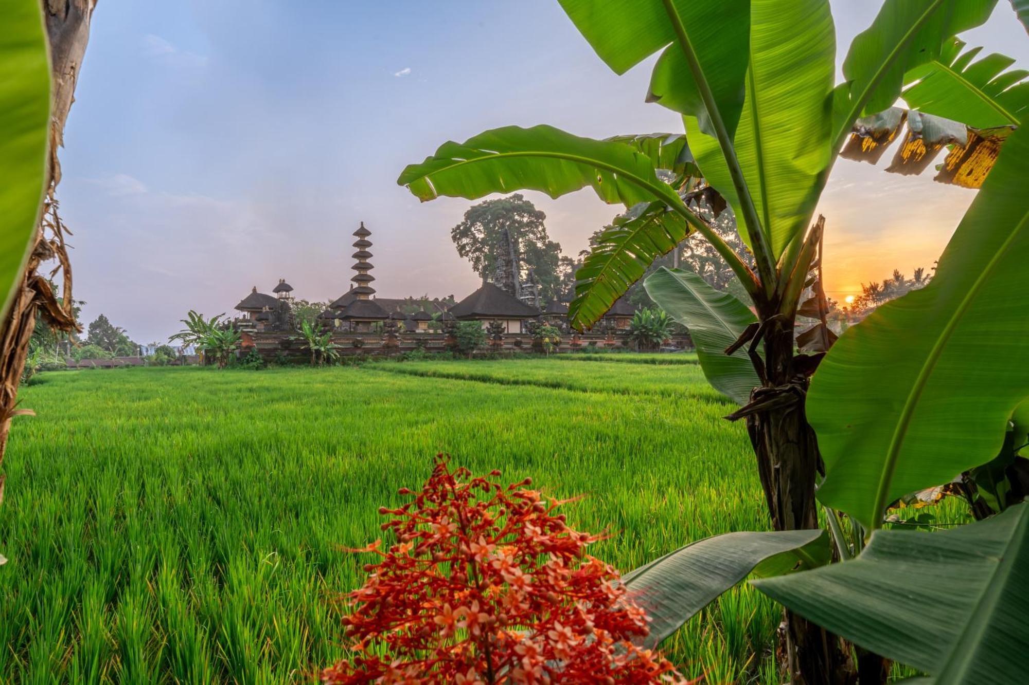 Your Dream Getaway Awaits - Villa In Ubud Offering Unmatched Temple Views! Zewnętrze zdjęcie